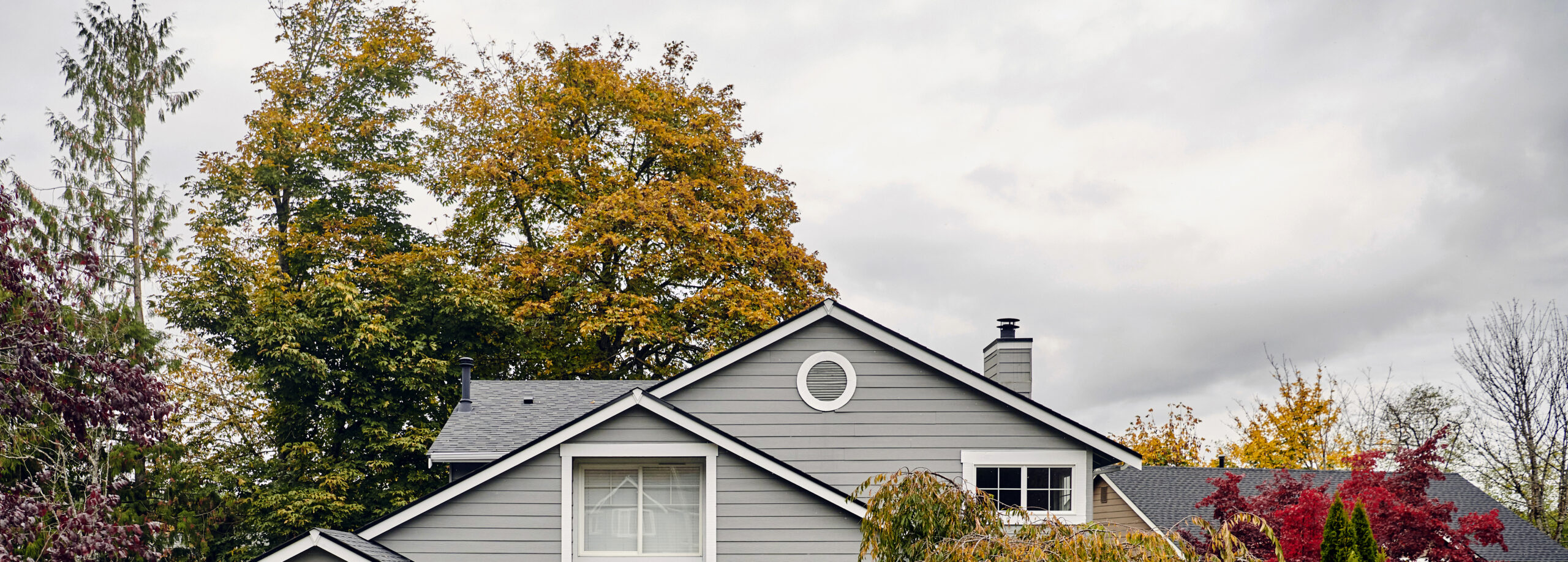 Malarkey shingles