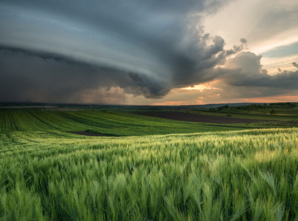 Storm hovering over field