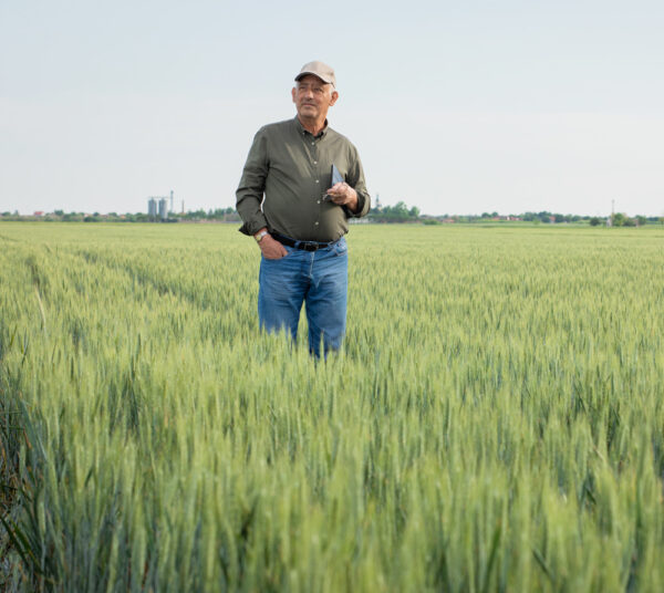 male farmer standing in green field looking away