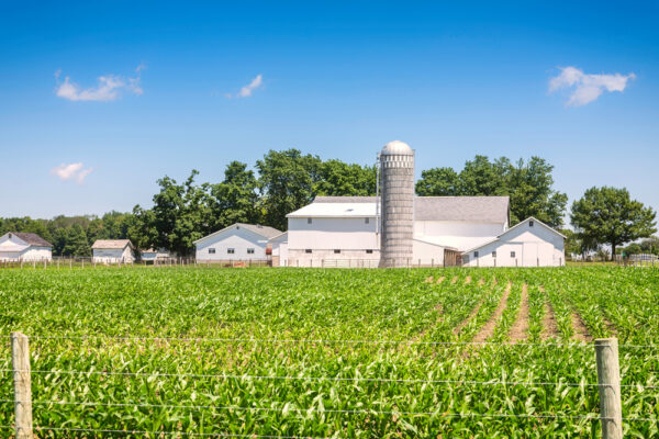 rural landscape, farm in the distance